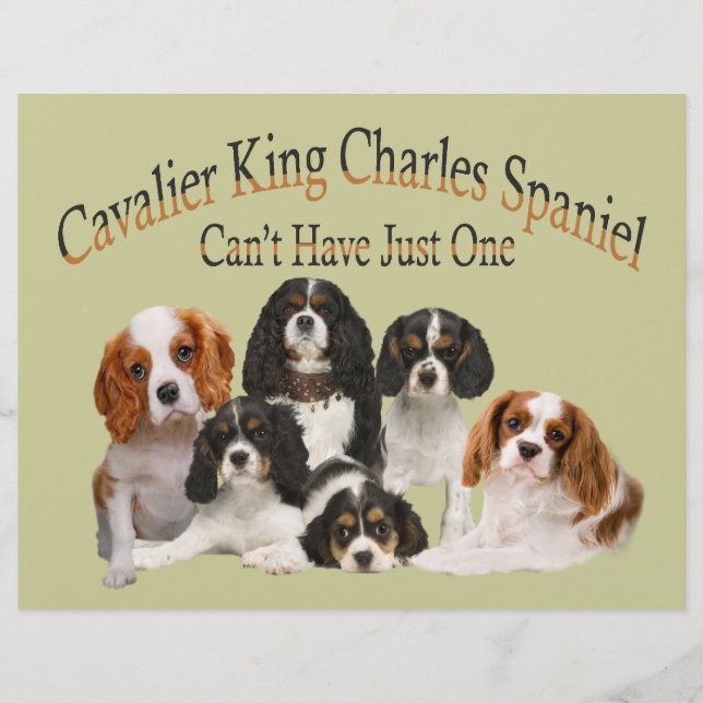 Cavalier King Charles Spaniel kan niet slechts één (Voorkant)
