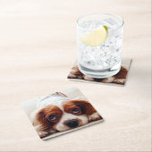 Cavalier King Charles Spaniel Kartonnen Onderzetters (Insitu)