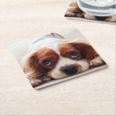 Cavalier King Charles Spaniel Kartonnen Onderzetters (Schuin)