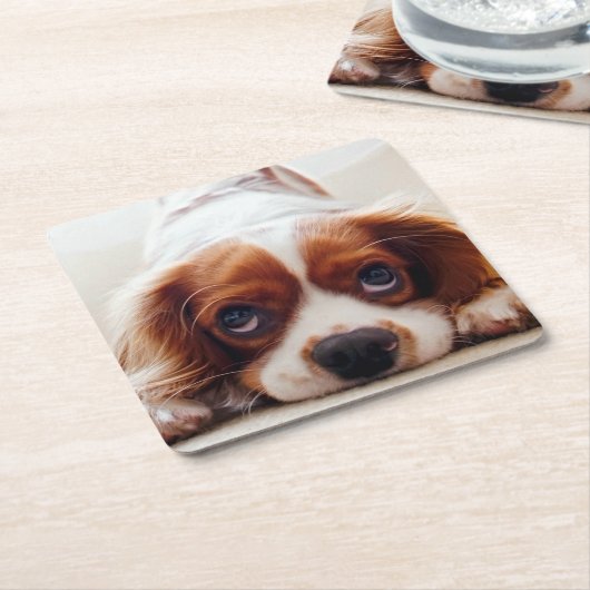Cavalier King Charles Spaniel Kartonnen Onderzetters (Schuin)