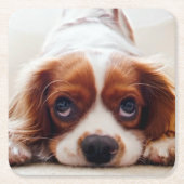 Cavalier King Charles Spaniel Kartonnen Onderzetters (Voorkant)