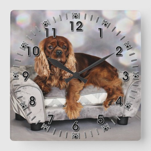 Cavalier King Charles Spaniel - Keesje Vierkante Klok (Voorkant)