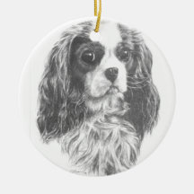 Cavalier King Charles Spaniel