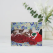 Cavalier King Charles Spaniel Kerst Overload Feestdagenkaart (Staand voorkant)