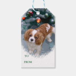 Cavalier King Charles Spaniel kerstcadeaus Cadeaulabel