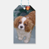 Cavalier King Charles Spaniel kerstcadeaus Cadeaulabel (Achterkant)