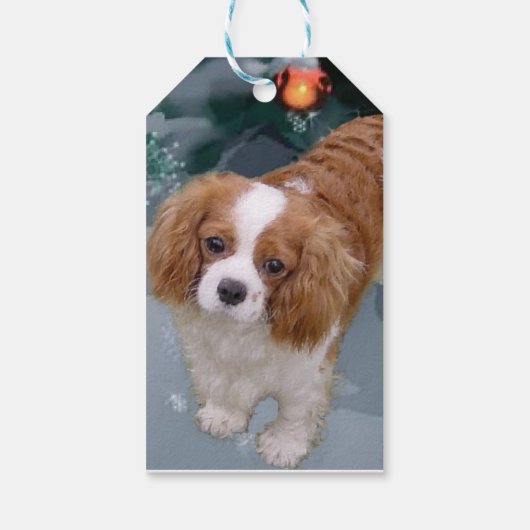 Cavalier King Charles Spaniel kerstcadeaus Cadeaulabel (Achterkant)