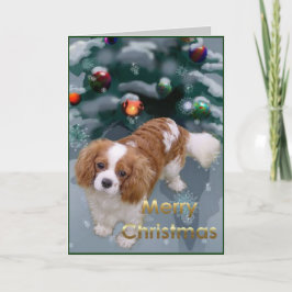 Cavalier King Charles Spaniel kerstcadeaus Feestdagen Kaart