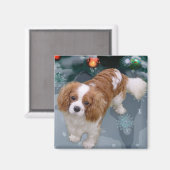 Cavalier King Charles Spaniel kerstcadeaus Magneet (Voorkant / Achterkant)