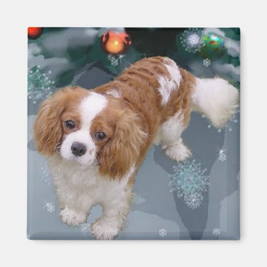 Cavalier King Charles Spaniel kerstcadeaus Magneet (Voorkant)