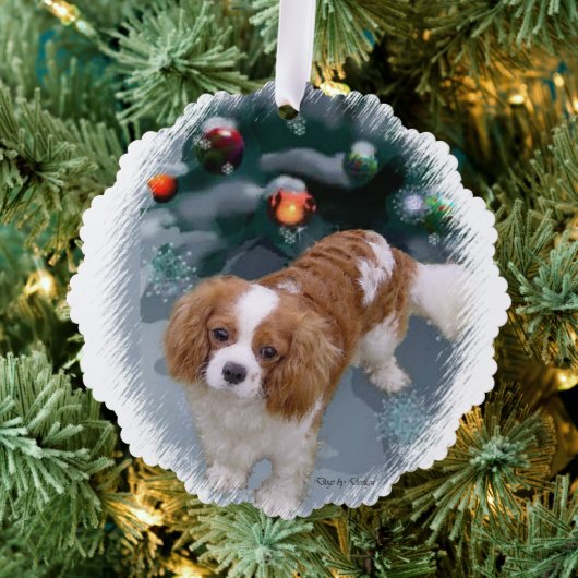 Cavalier King Charles Spaniel kerstcadeaus Ornament Kaart (Insitu (Drie))