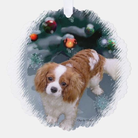 Cavalier King Charles Spaniel kerstcadeaus Ornament Kaart (Voorkant)