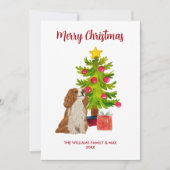 Cavalier King Charles Spaniel kerstkaart (Voorkant)