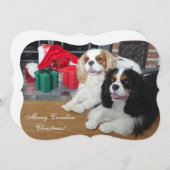 Cavalier King Charles Spaniel kerstkaart (Voorkant / Achterkant)