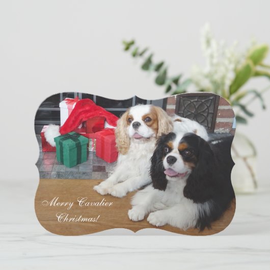 Cavalier King Charles Spaniel kerstkaart (Staand voorkant)