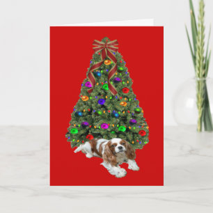 Cavalier King Charles Spaniel kerstkaart - boom Feestdagen Kaart