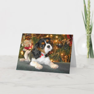Cavalier King Charles Spaniel kerstkaart Feestdagen Kaart
