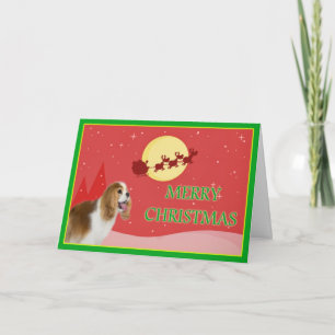 Cavalier King Charles Spaniel Kerstkaart Feestdagen Kaart