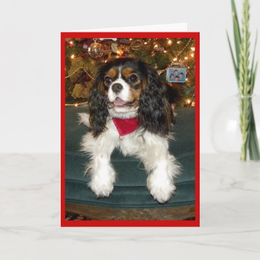 Cavalier King Charles Spaniel kerstkaart Feestdagen Kaart (Voorkant)