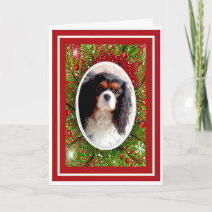 Cavalier King Charles Spaniel kerstkaart Feestdagen Kaart
