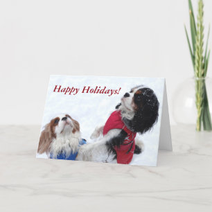 Cavalier King Charles Spaniel Kerstkaart Feestdagen Kaart