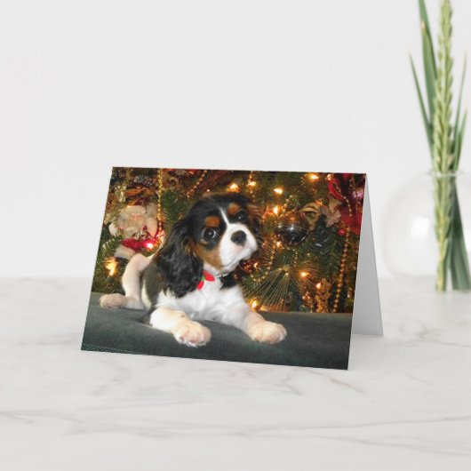 Cavalier King Charles Spaniel kerstkaart Feestdagen Kaart (Voorkant)