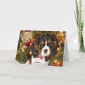 Cavalier King Charles Spaniel kerstkaart Feestdagen Kaart (Achterkant)