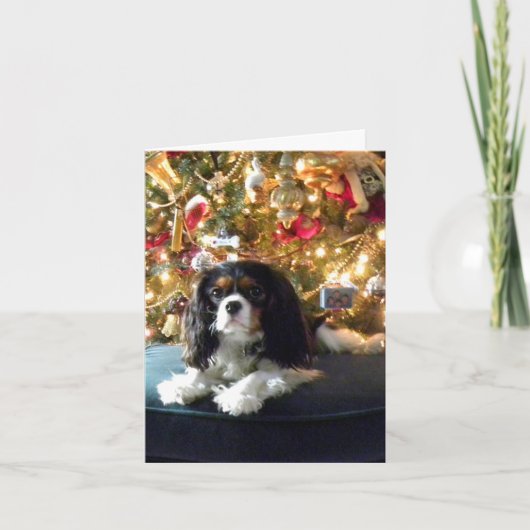 Cavalier King Charles Spaniel kerstkaart Feestdagen Kaart (Voorkant)