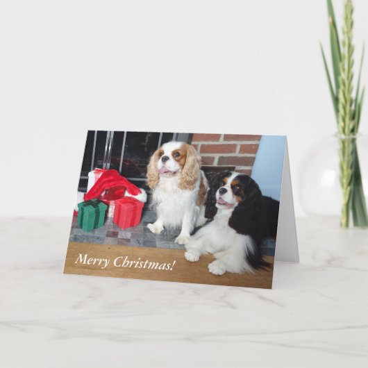 Cavalier King Charles Spaniel kerstkaart Feestdagen Kaart (Voorkant)