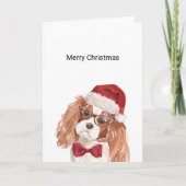 Cavalier King Charles Spaniel kerstkaart Kaart (Voorkant)