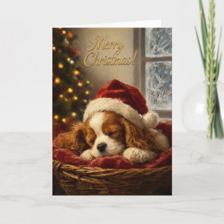 Cavalier King Charles Spaniel Kerstkaart Kaart