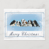 Cavalier King Charles Spaniel Kerstmis Feestdagenkaart (Voorkant)