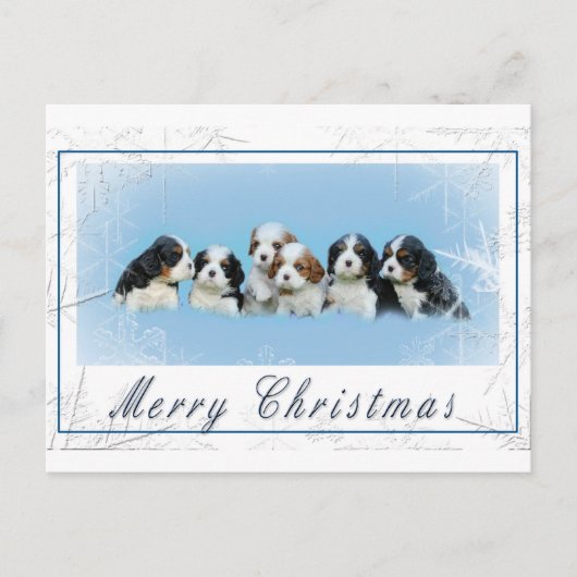 Cavalier King Charles Spaniel Kerstmis Feestdagenkaart (Voorkant)
