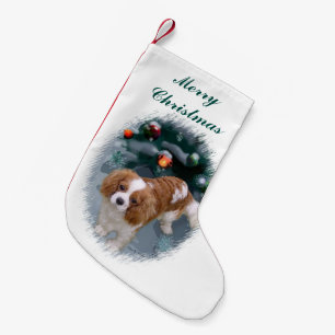 Cavalier King Charles Spaniel Kerstmis Kleine Kerstsok