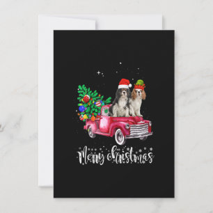 Cavalier King Charles Spaniel Kerstmis Rood Kaart