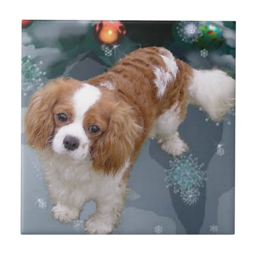Cavalier King Charles Spaniel Kerstmis Tegeltje (Voorkant)