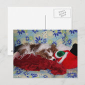 Cavalier King Charles Spaniel Kerstoverbelasting Feestdagenkaart (Voorkant / Achterkant)