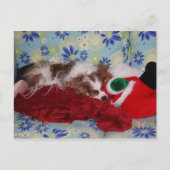 Cavalier King Charles Spaniel Kerstoverbelasting Feestdagenkaart (Voorkant)