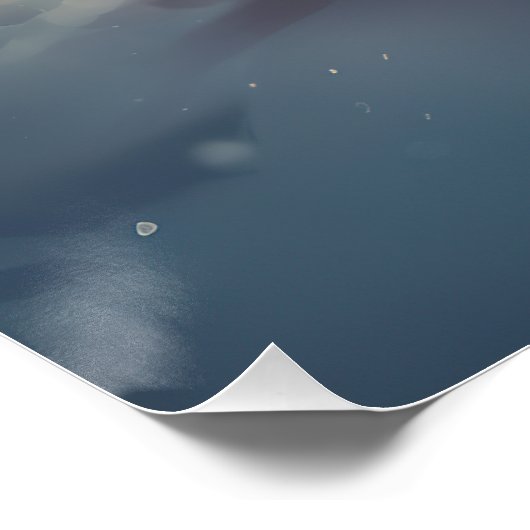 Cavalier King Charles Spaniel Kerstsneeuw Perfect Poster (Hoek)