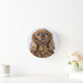 Cavalier King Charles Spaniel kijkt op Ronde Klok (Huis)