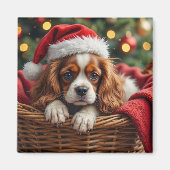 Cavalier King Charles Spaniel Knus Mandje Magneet (Voorkant)