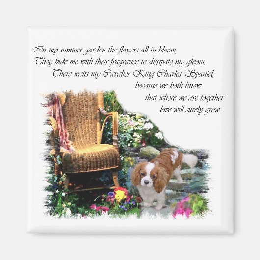 Cavalier King Charles Spaniel Kunst Magneet (Voorkant)