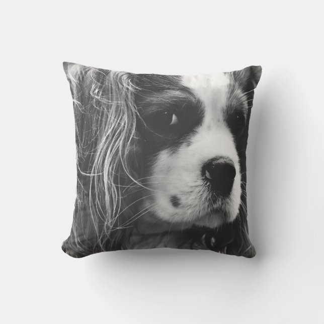 Cavalier King Charles Spaniel Kussen (Voorkant)