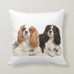 Cavalier King Charles Spaniel Kussen
