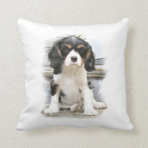 Cavalier King Charles Spaniel Kussen