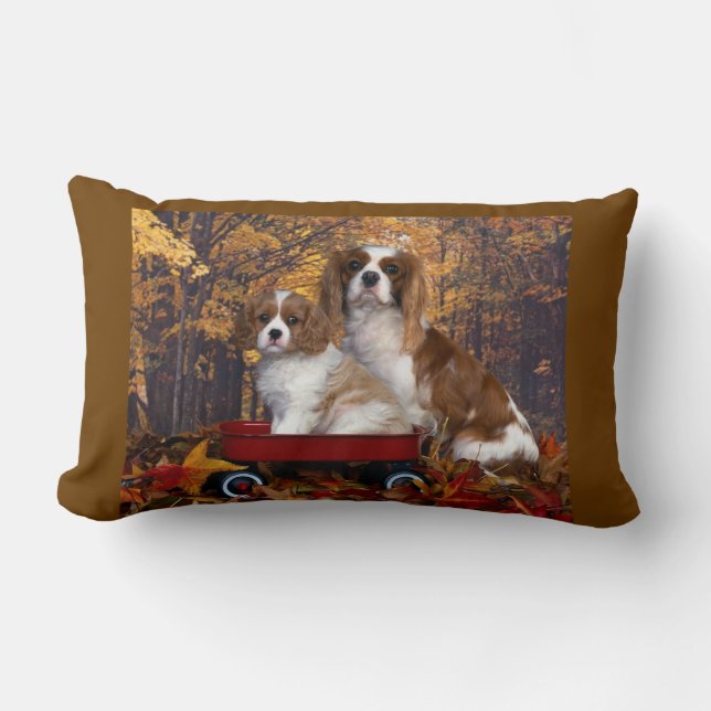 Cavalier King Charles Spaniel Kussen (Voorkant)