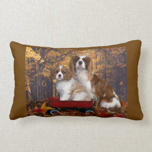 Cavalier King Charles Spaniel Kussen