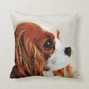 Cavalier King Charles Spaniel Kussen