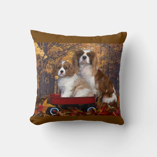 Cavalier King Charles Spaniel Kussen (Voorkant)