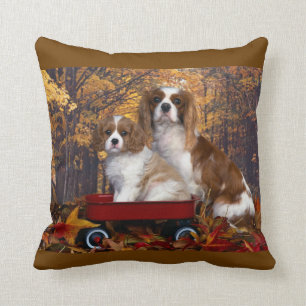Cavalier King Charles Spaniel Kussen